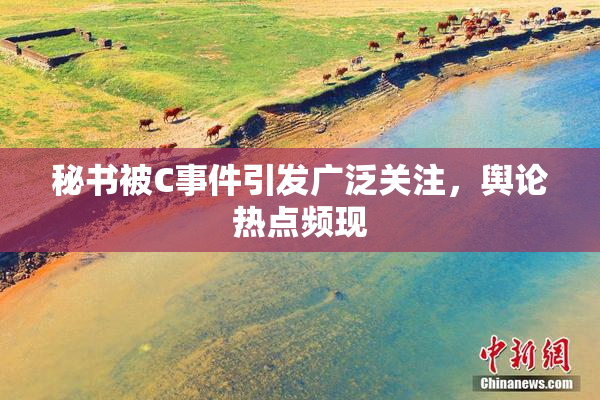 秘书被C事件引发广泛关注，舆论热点频现