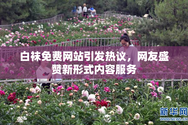 白袜免费网站引发热议，网友盛赞新形式内容服务