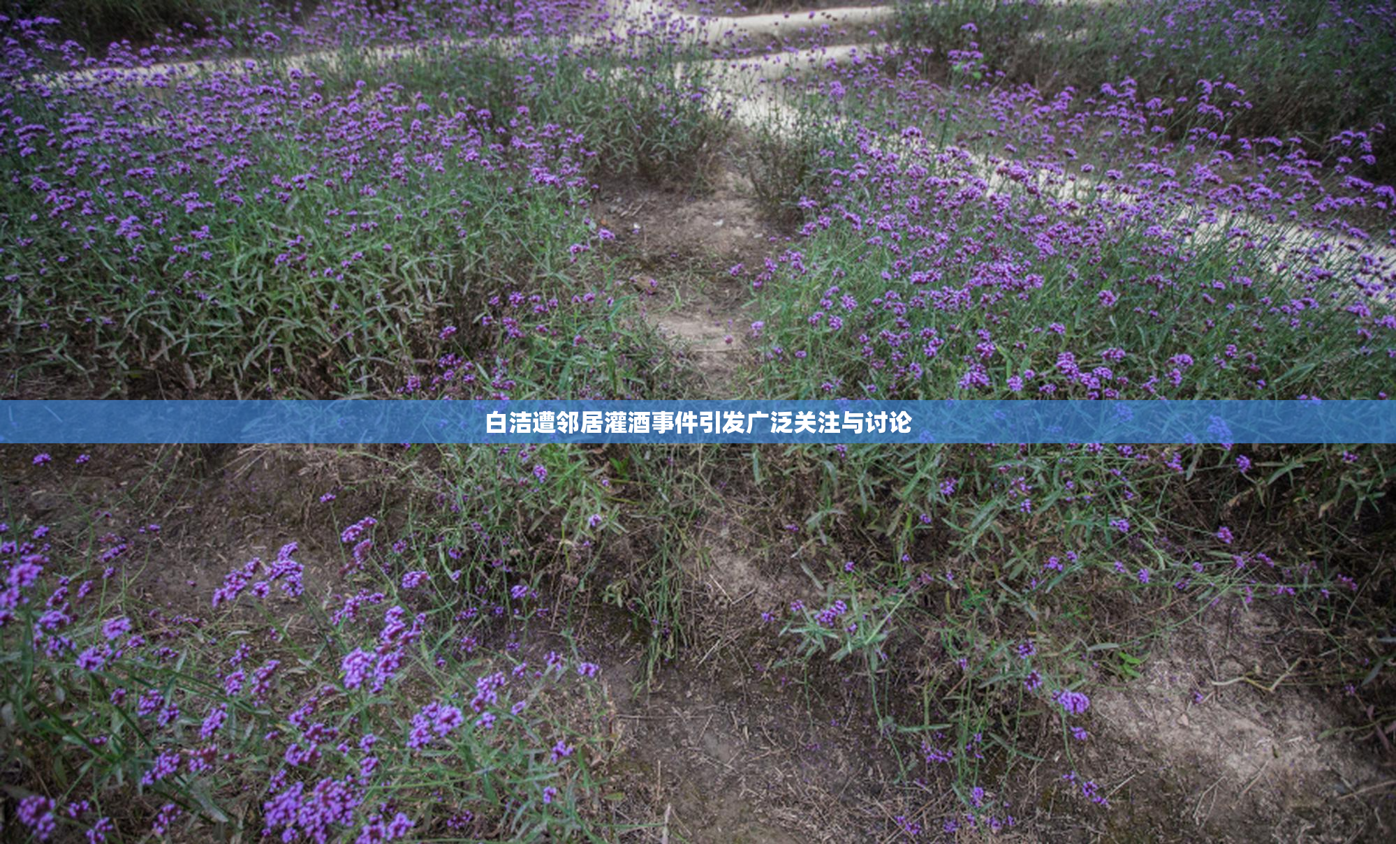 白洁遭邻居灌酒事件引发广泛关注与讨论
