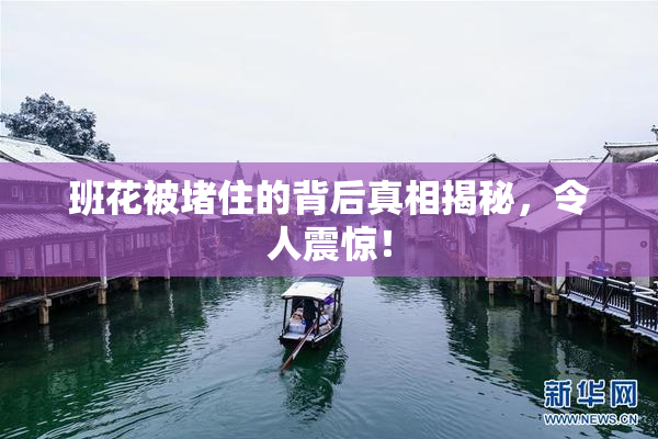 班花被堵住的背后真相揭秘，令人震惊！