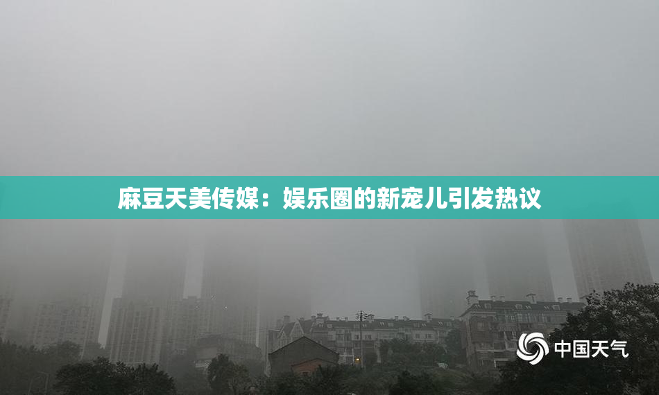 麻豆天美传媒：娱乐圈的新宠儿引发热议