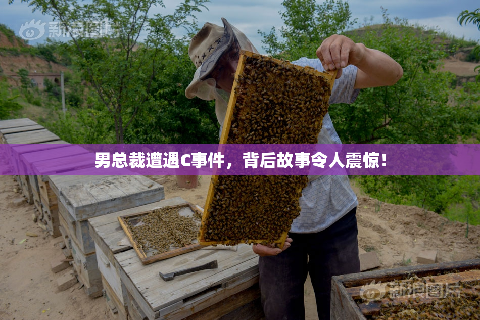 男总裁遭遇C事件，背后故事令人震惊！