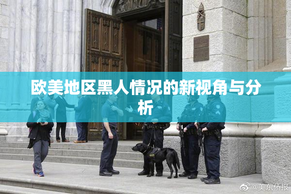 欧美地区黑人情况的新视角与分析