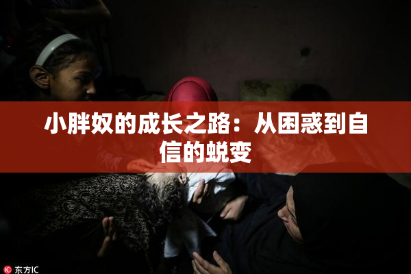 小胖奴的成长之路：从困惑到自信的蜕变