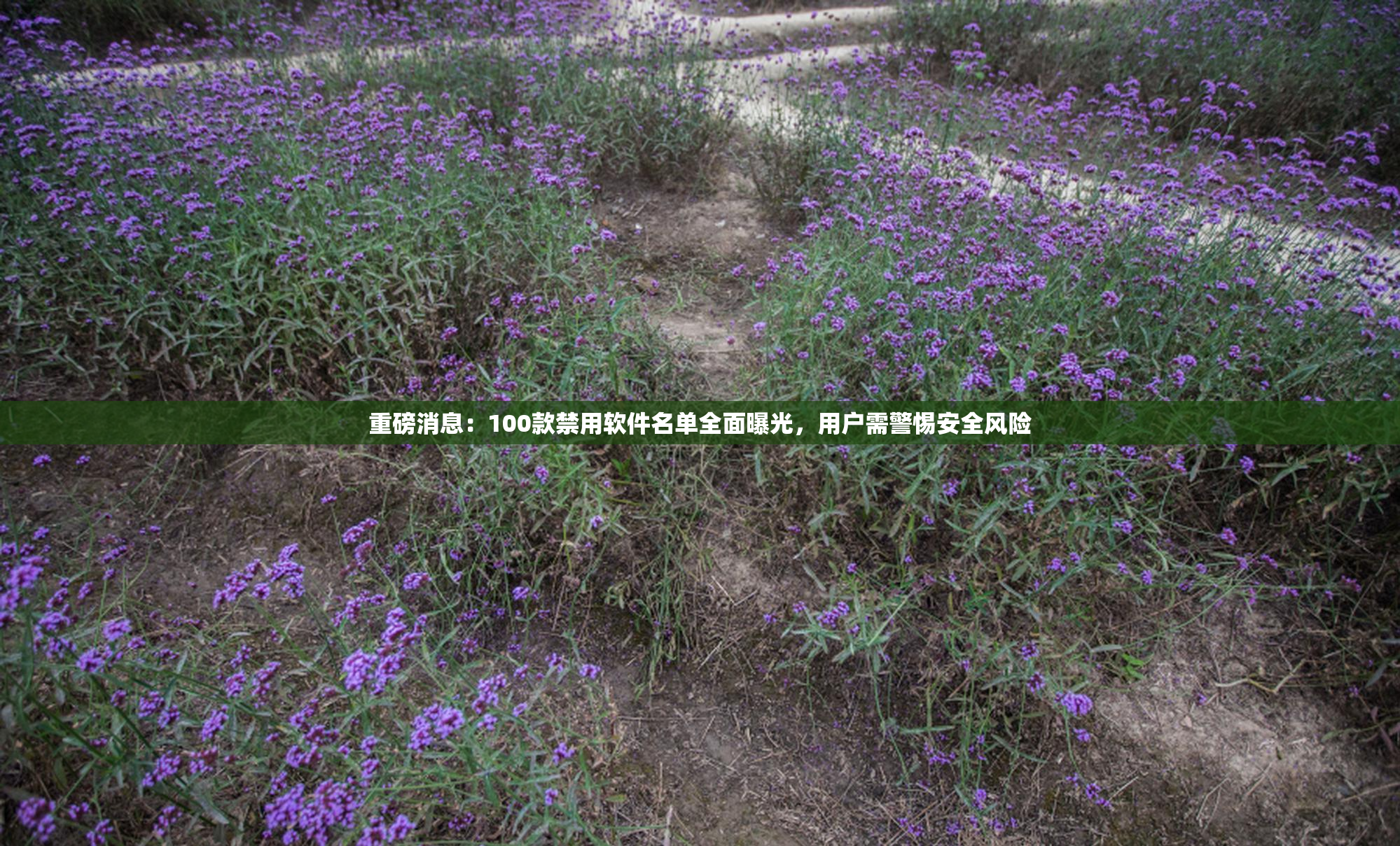 重磅消息：100款禁用软件名单全面曝光，用户需警惕安全风险