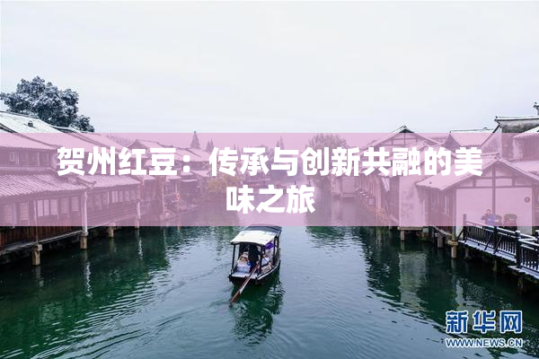贺州红豆：传承与创新共融的美味之旅