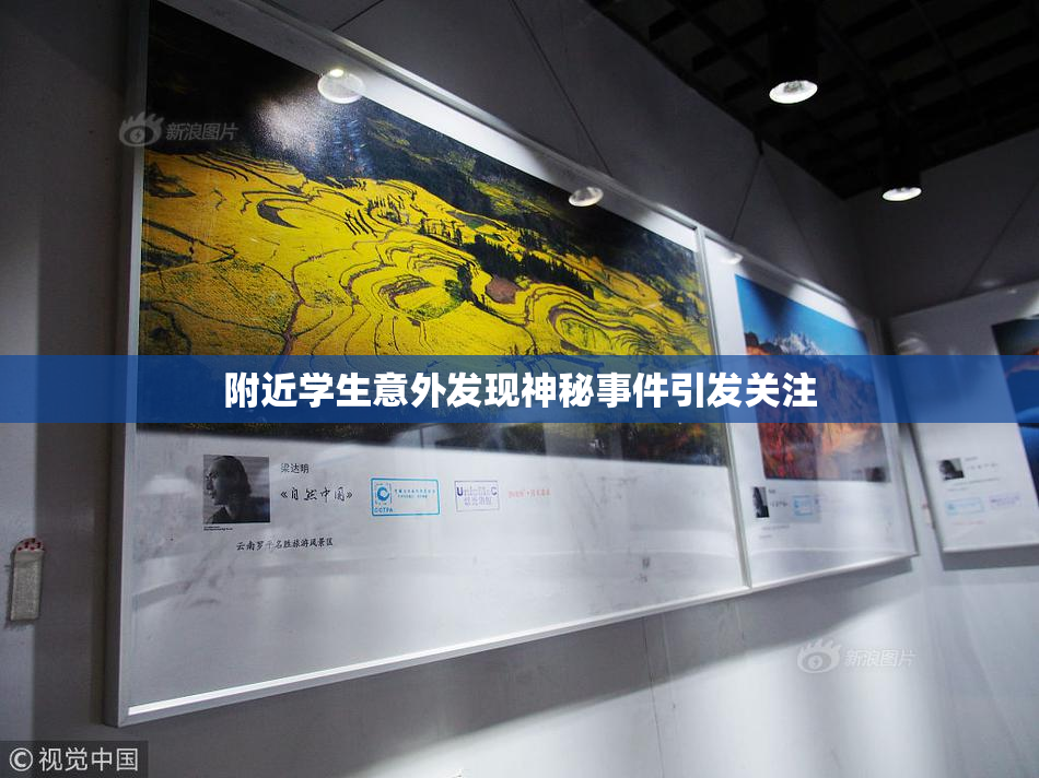 附近学生意外发现神秘事件引发关注