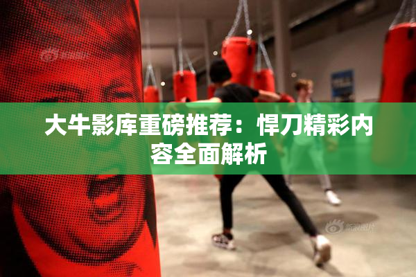大牛影库重磅推荐：悍刀精彩内容全面解析