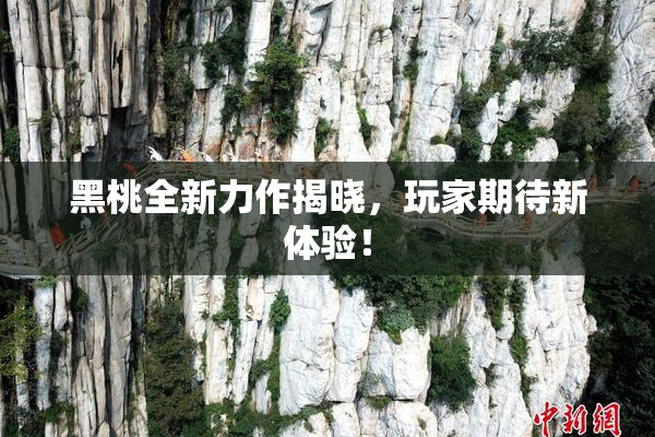 黑桃全新力作揭晓，玩家期待新体验！