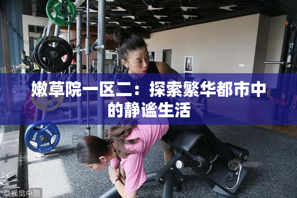 嫩草院一区二：探索繁华都市中的静谧生活