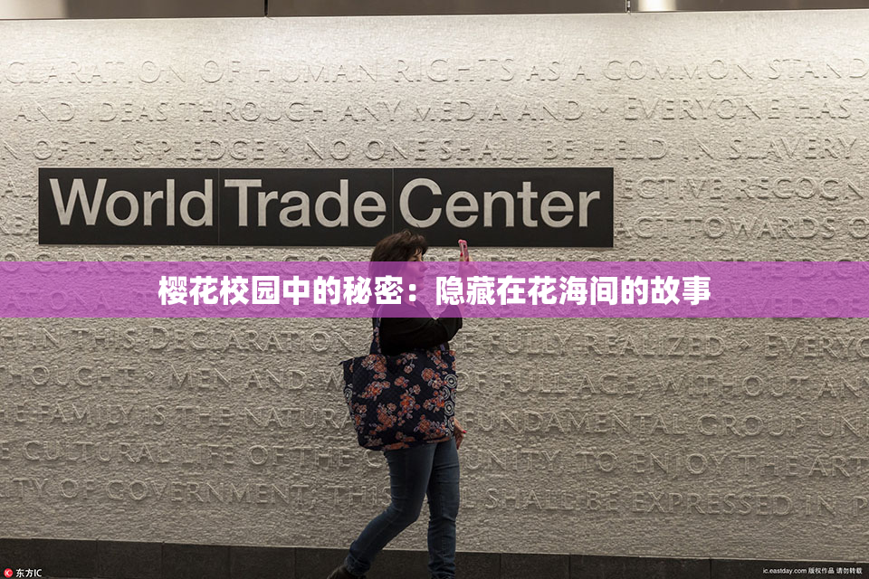 樱花校园中的秘密：隐藏在花海间的故事