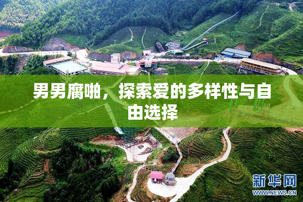 男男腐啪，探索爱的多样性与自由选择