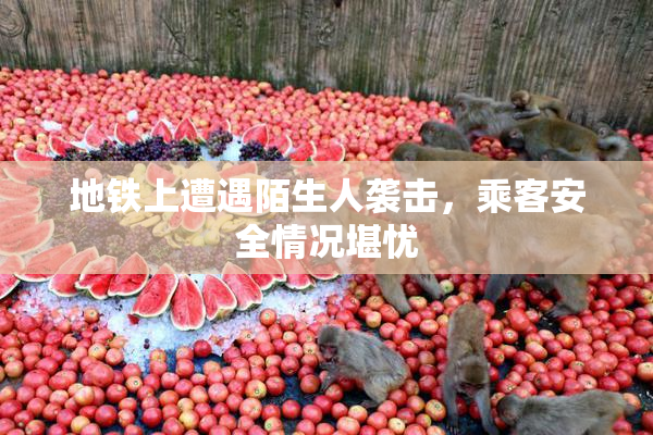 地铁上遭遇陌生人袭击，乘客安全情况堪忧