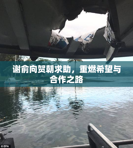 谢俞向贺朝求助，重燃希望与合作之路