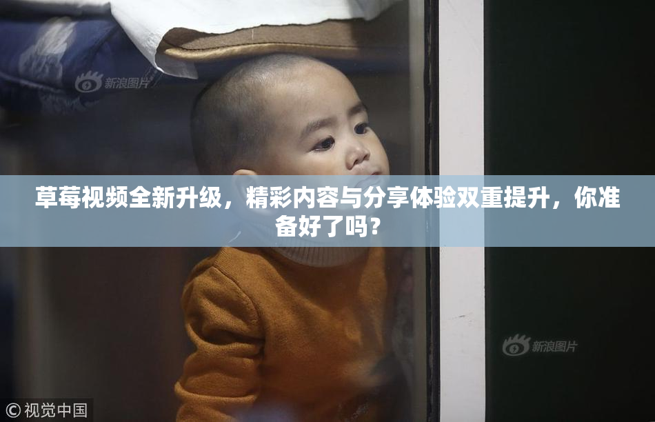 草莓视频全新升级，精彩内容与分享体验双重提升，你准备好了吗？
