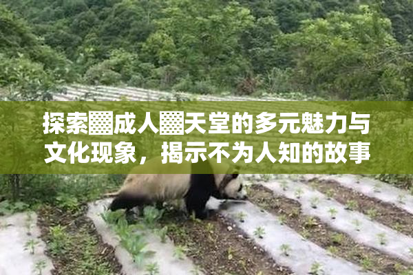 探索▓成人▓天堂的多元魅力与文化现象，揭示不为人知的故事。
