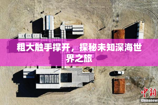 粗大触手撑开，探秘未知深海世界之旅