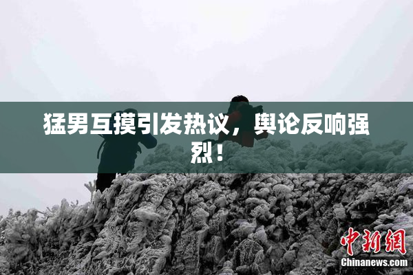 猛男互摸引发热议，舆论反响强烈！