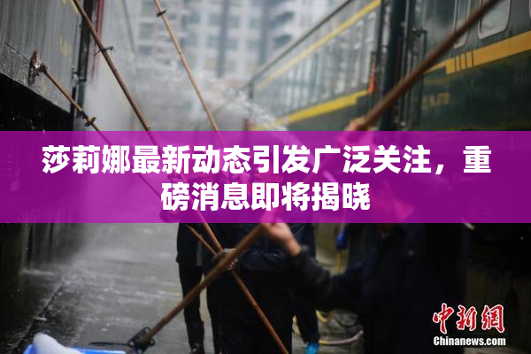 莎莉娜最新动态引发广泛关注，重磅消息即将揭晓