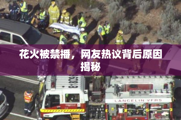 花火被禁播，网友热议背后原因揭秘