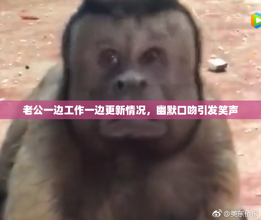 老公一边工作一边更新情况，幽默口吻引发笑声