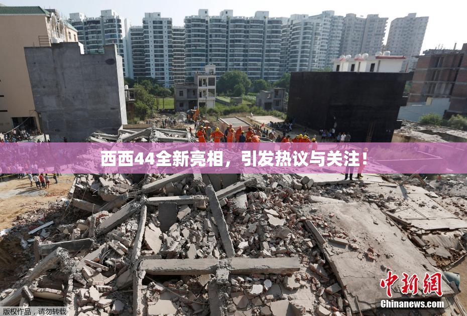 西西44全新亮相，引发热议与关注！