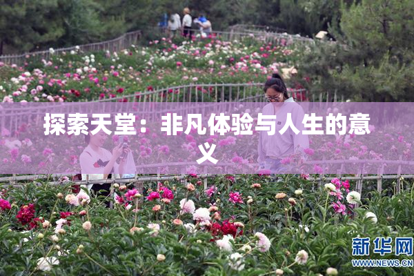 探索天堂：非凡体验与人生的意义