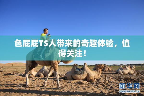 色屁屁TS人带来的奇趣体验，值得关注！