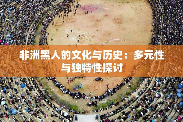 非洲黑人的文化与历史：多元性与独特性探讨