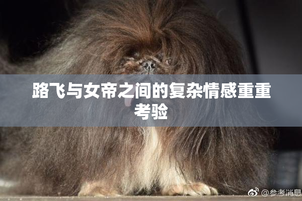 路飞与女帝之间的复杂情感重重考验