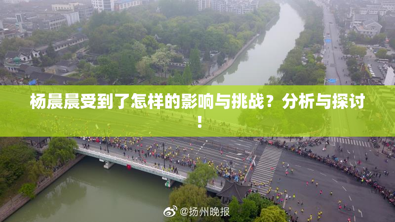 杨晨晨受到了怎样的影响与挑战？分析与探讨！
