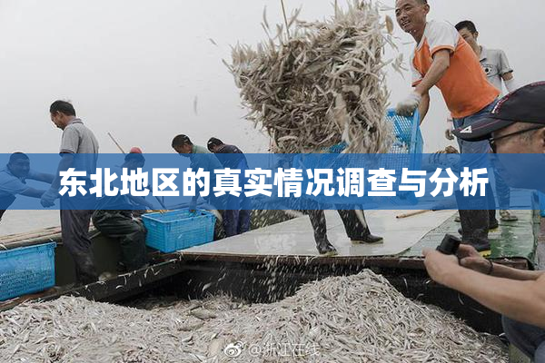 东北地区的真实情况调查与分析