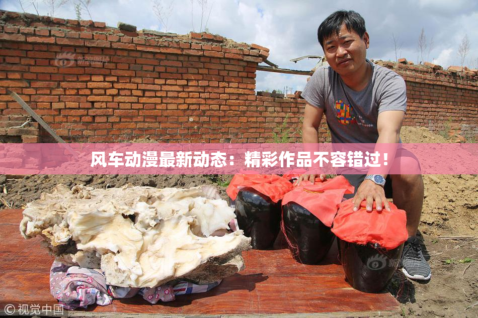 风车动漫最新动态：精彩作品不容错过！