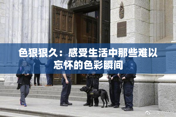 色狠狠久：感受生活中那些难以忘怀的色彩瞬间