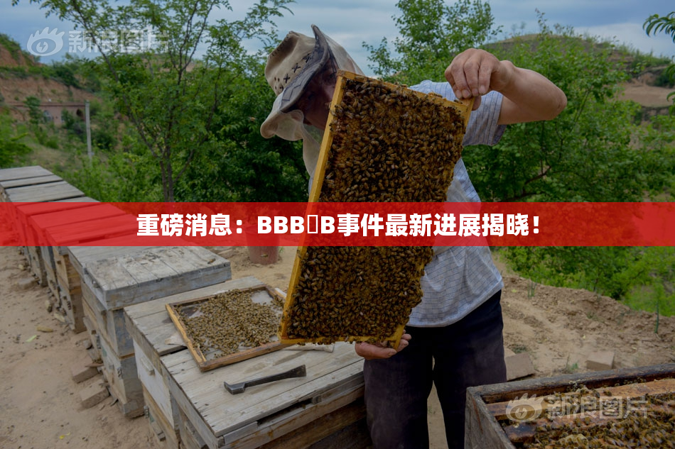 重磅消息：BBB槡B事件最新进展揭晓！