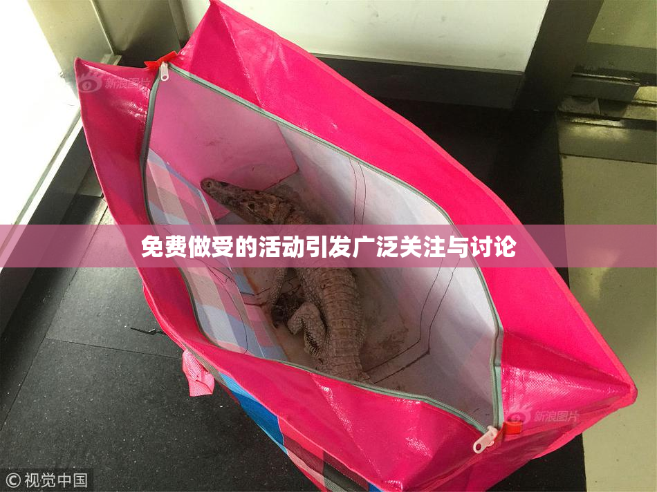 免费做受的活动引发广泛关注与讨论