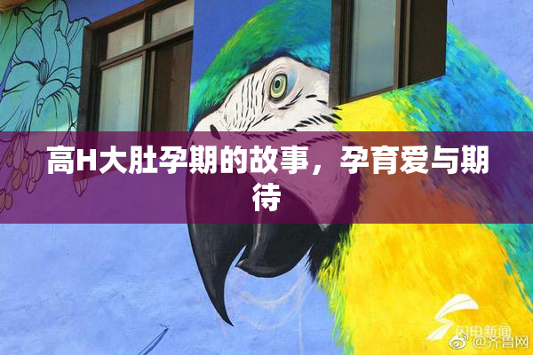 高H大肚孕期的故事，孕育爱与期待
