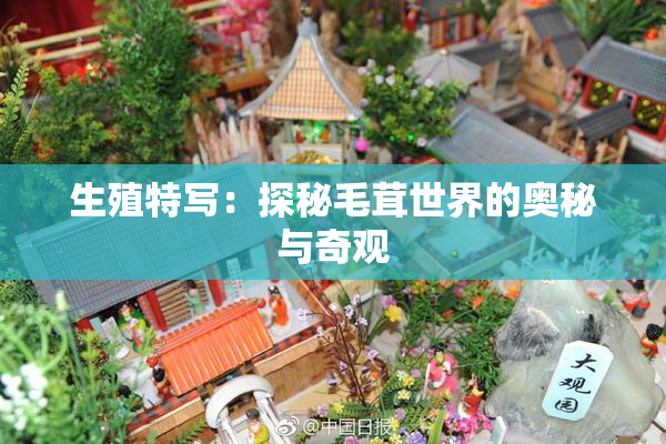 生殖特写：探秘毛茸世界的奥秘与奇观