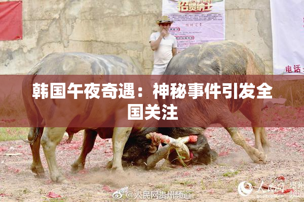 韩国午夜奇遇：神秘事件引发全国关注