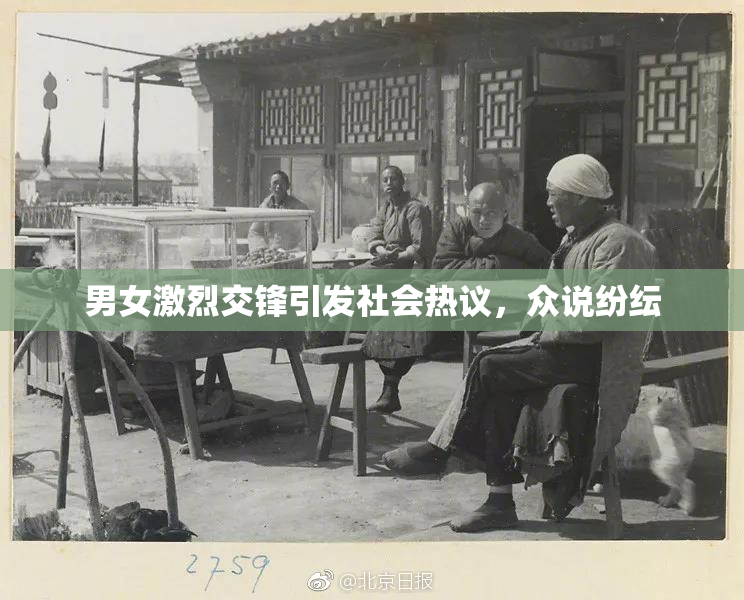 男女激烈交锋引发社会热议，众说纷纭