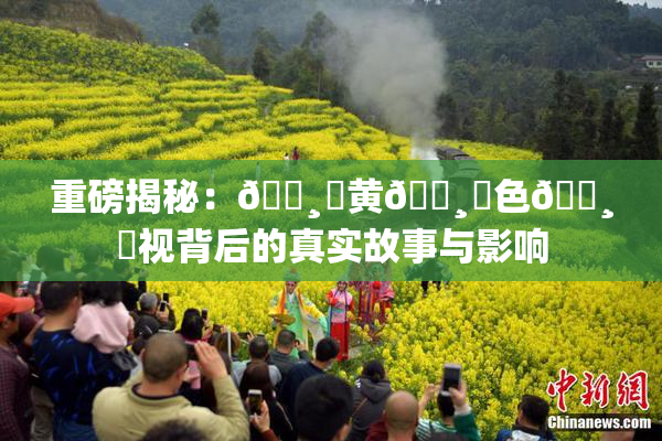 重磅揭秘：🌸‌黄🌸‌色🌸‌视背后的真实故事与影响
