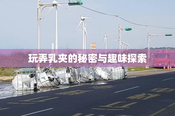 玩弄乳夹的秘密与趣味探索