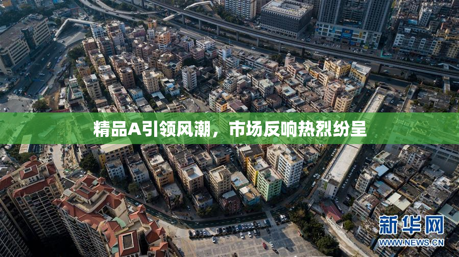 精品A引领风潮，市场反响热烈纷呈