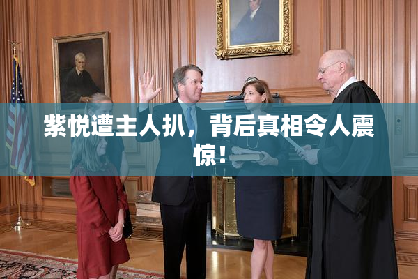 紫悦遭主人扒，背后真相令人震惊！
