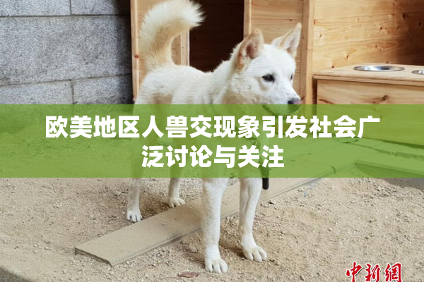 欧美地区人兽交现象引发社会广泛讨论与关注