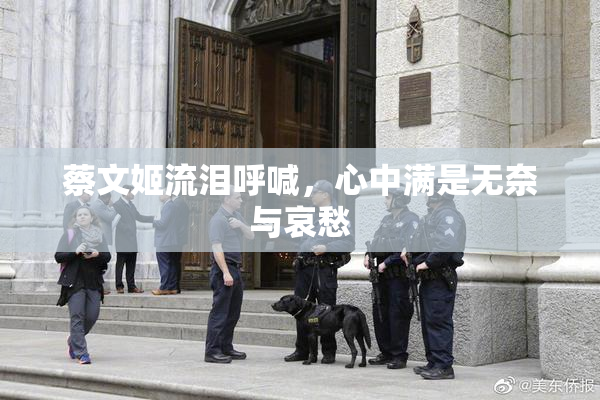 蔡文姬流泪呼喊，心中满是无奈与哀愁
