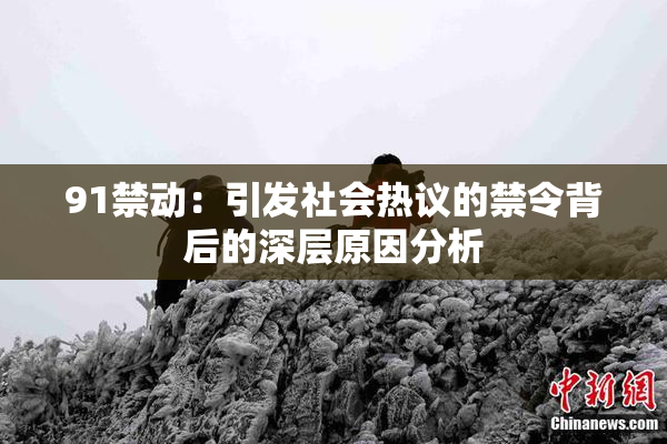 91禁动：引发社会热议的禁令背后的深层原因分析