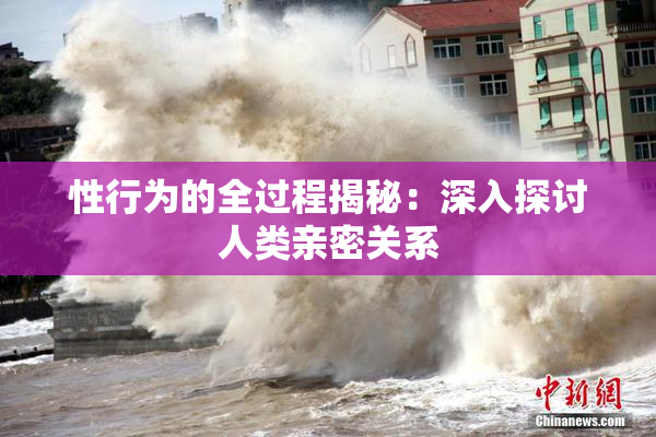 性行为的全过程揭秘：深入探讨人类亲密关系