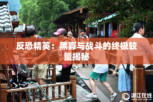 反恐精英：黑寡与战斗的终极较量揭秘