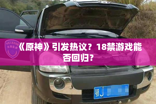 《原神》引发热议？18禁游戏能否回归？